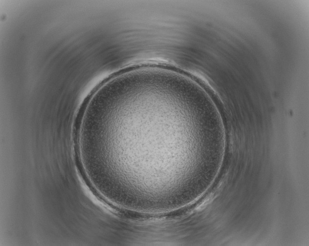 X0000074291038200609011402