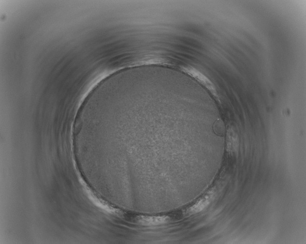 X0000074291039200609011402