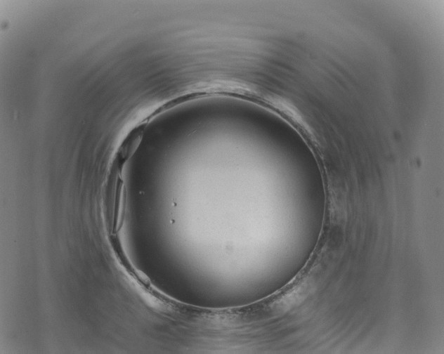 X0000074291040200609011402