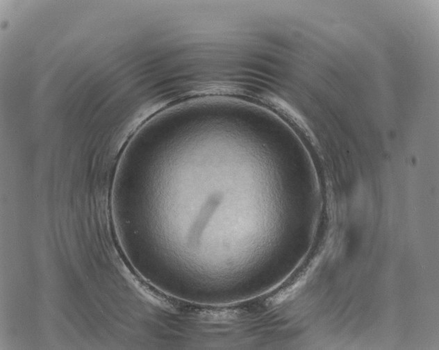 X0000074291041200609011402