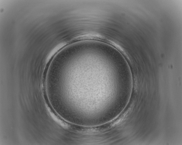 X0000074291042200609011402