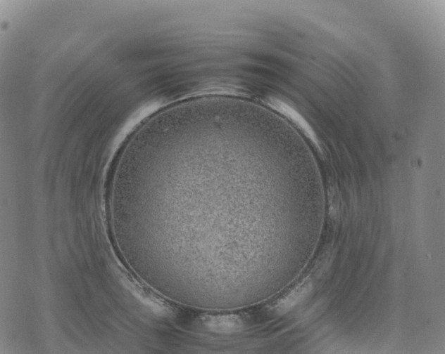 X0000074291043200609011402