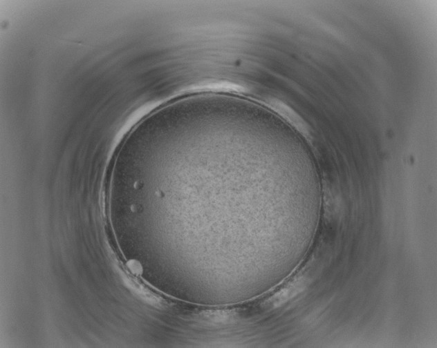 X0000074291044200609011402