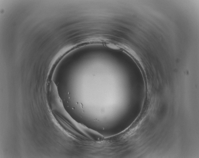 X0000074291045200609011402