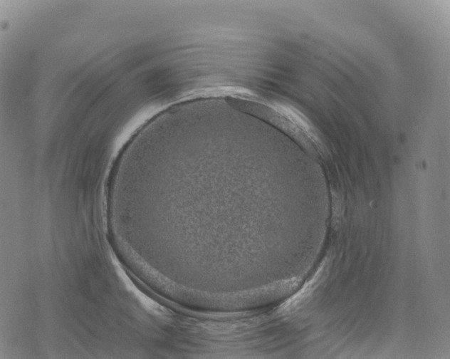 X0000074291046200609011402