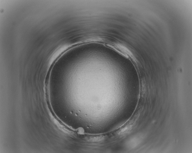 X0000074291047200609011402