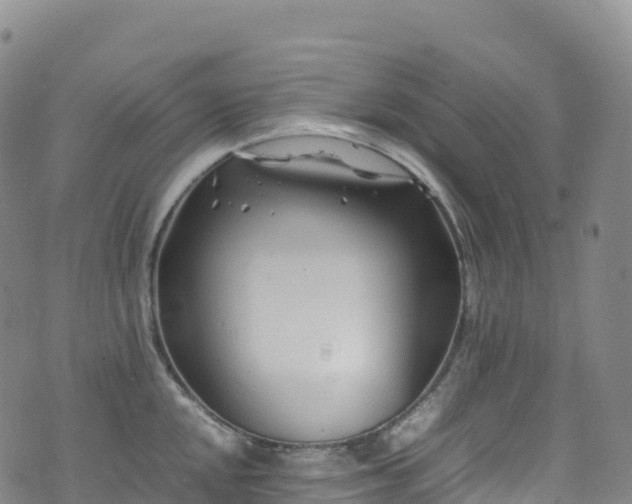 X0000074291048200609011402