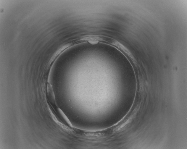 X0000074291049200609011402