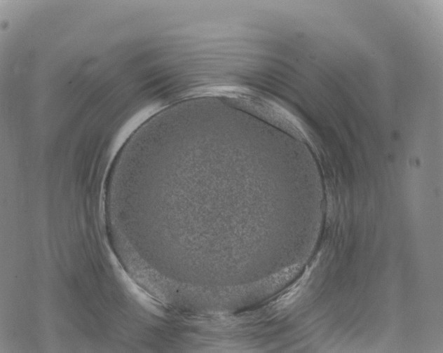 X0000074291050200609011402