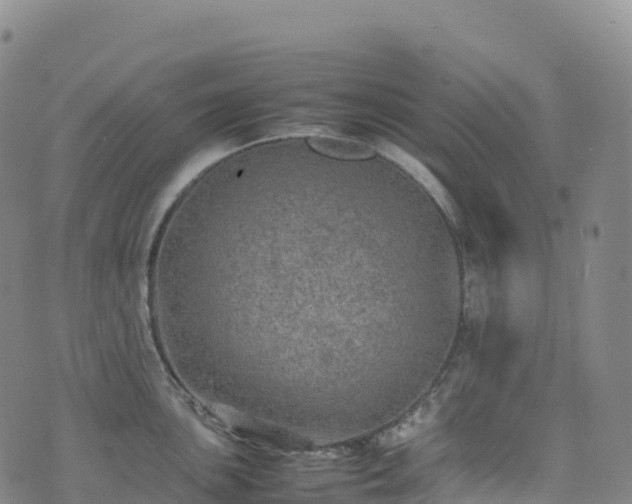 X0000074291051200609011402