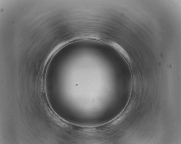 X0000074291052200609011402