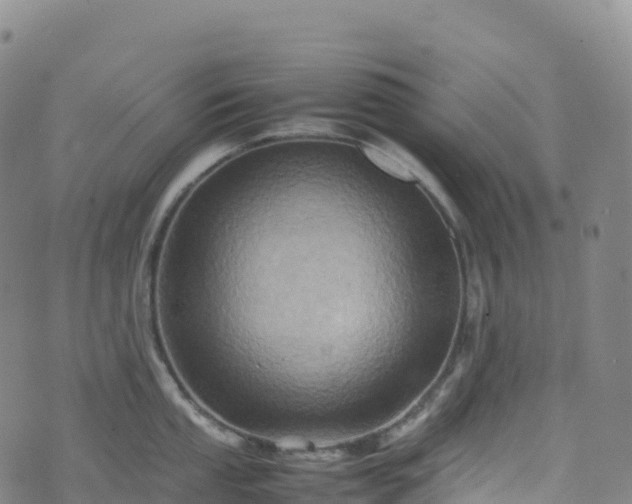 X0000074291053200609011402