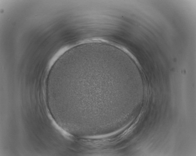 X0000074291054200609011402