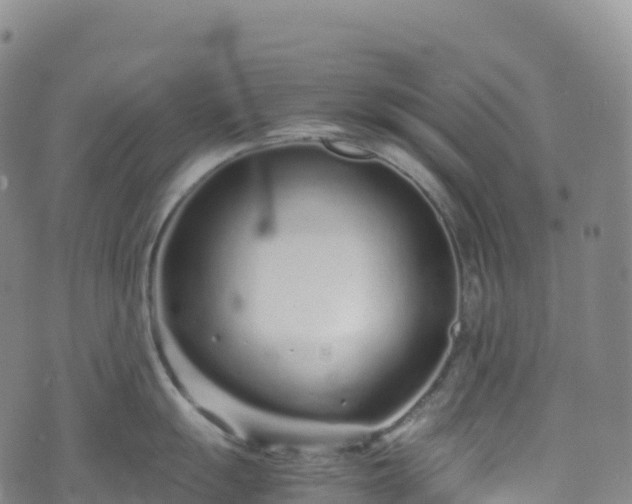 X0000074291055200609011402