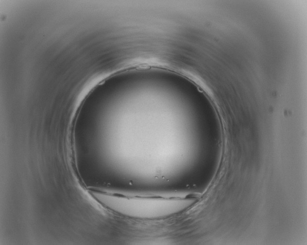 X0000074291056200609011402