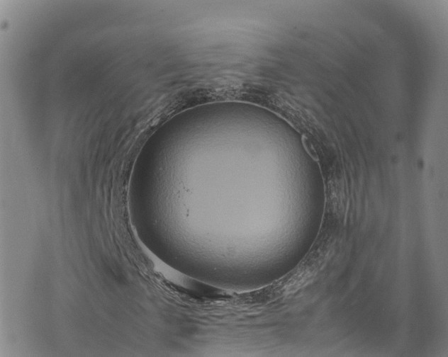 X0000074291057200609011401