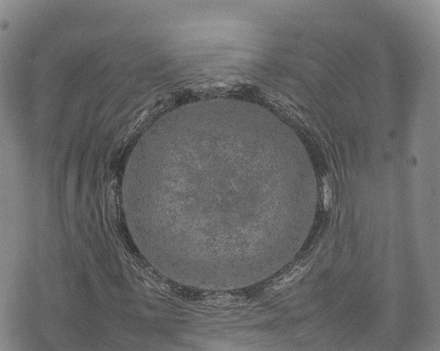 X0000074291059200609011401