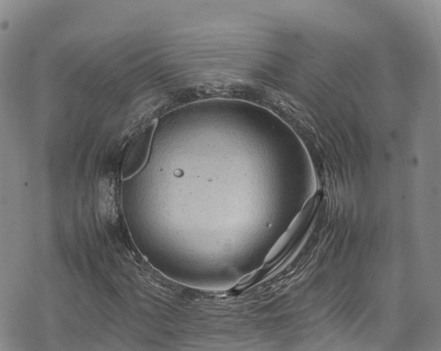 X0000074291060200609011401