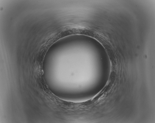 X0000074291061200609011401