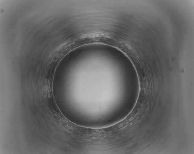 X0000074291062200609011401