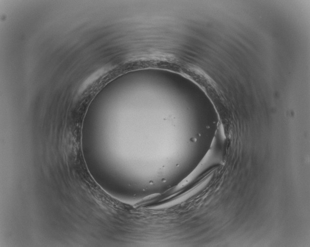 X0000074291064200609011401