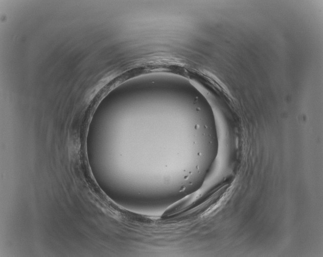 X0000074291065200609011401