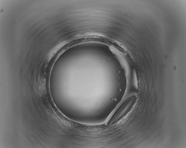 X0000074291066200609011401