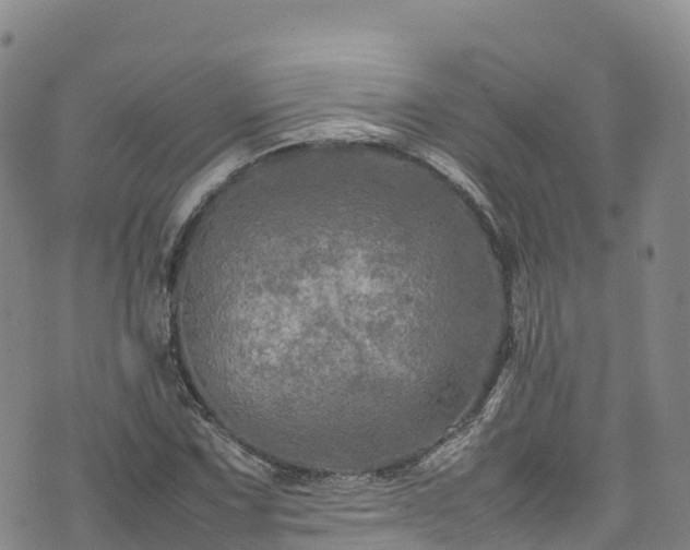 X0000074291067200609011401