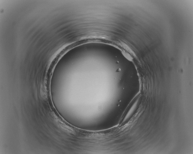 X0000074291068200609011401