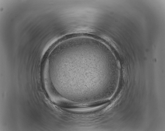 X0000074291069200609011401