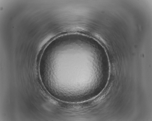 X0000074291071200609011401