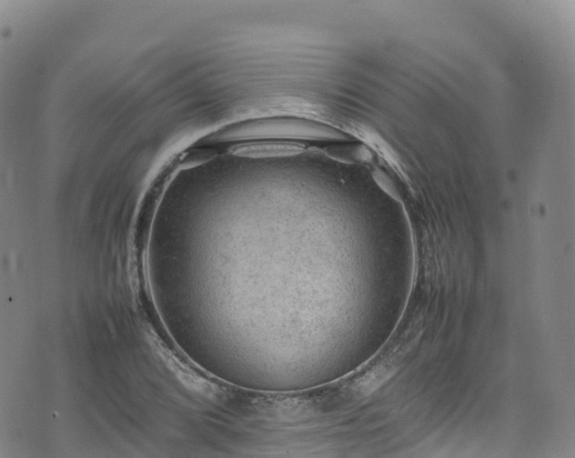 X0000074291072200609011401