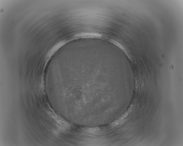 X0000074291074200609011401