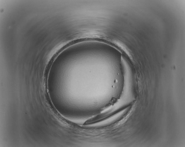 X0000074291077200609011401