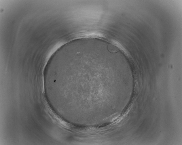 X0000074291079200609011401