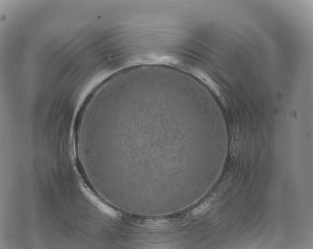 X0000074291080200609011401