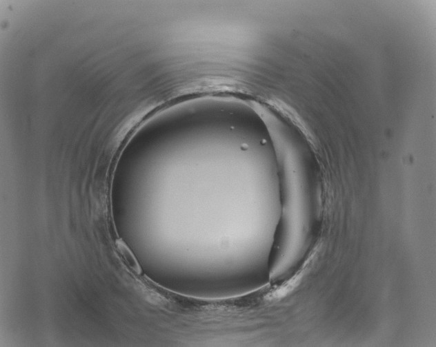 X0000074291081200609011401