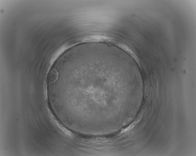 X0000074291083200609011401