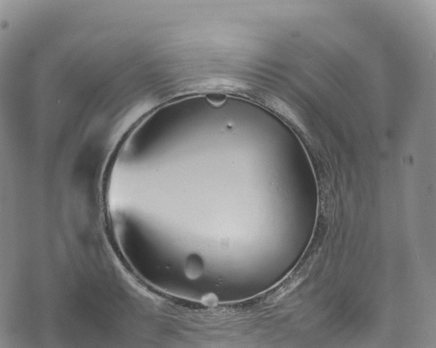 X0000074291087200609011401