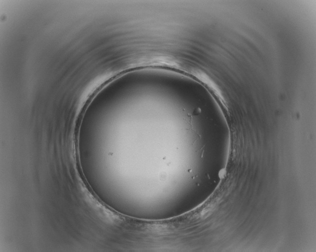 X0000074291088200609011401