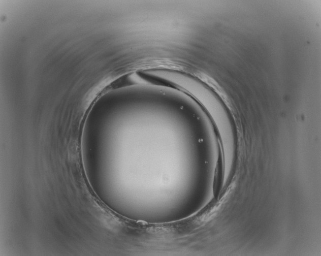 X0000074291089200609011401