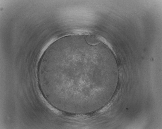 X0000074291091200609011401