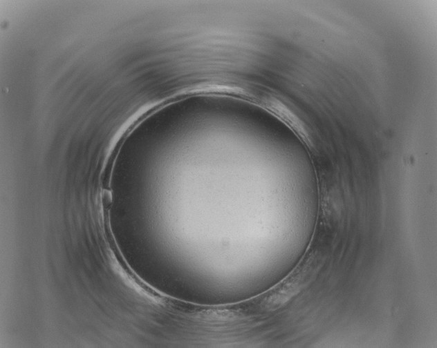 X0000074291092200609011401