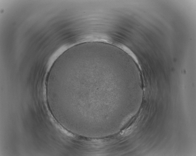 X0000074291096200609011401