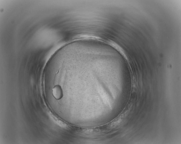 X0000074291098200609011401