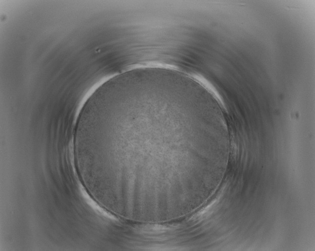 X0000074291100200609011401