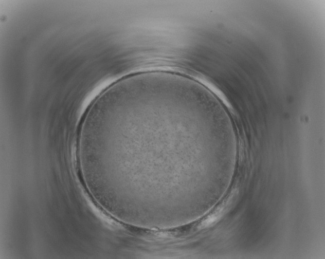 X0000074291101200609011401