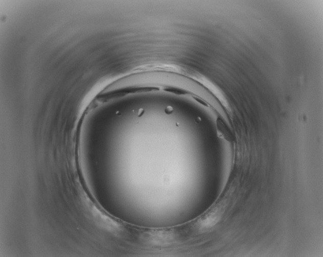 X0000074291102200609011401