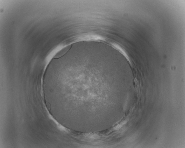 X0000074291103200609011401