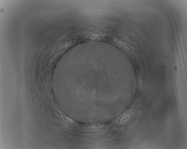 X0000074291105200609011400